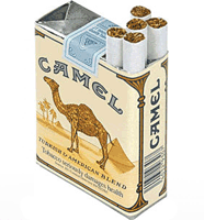 Buy Camel No-Filter Regular Cigarettes Online - Buy Cigs Online